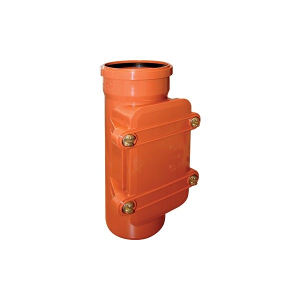 Ревизия рыжая 200